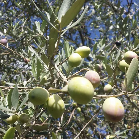 Gigliotto فندق 4*